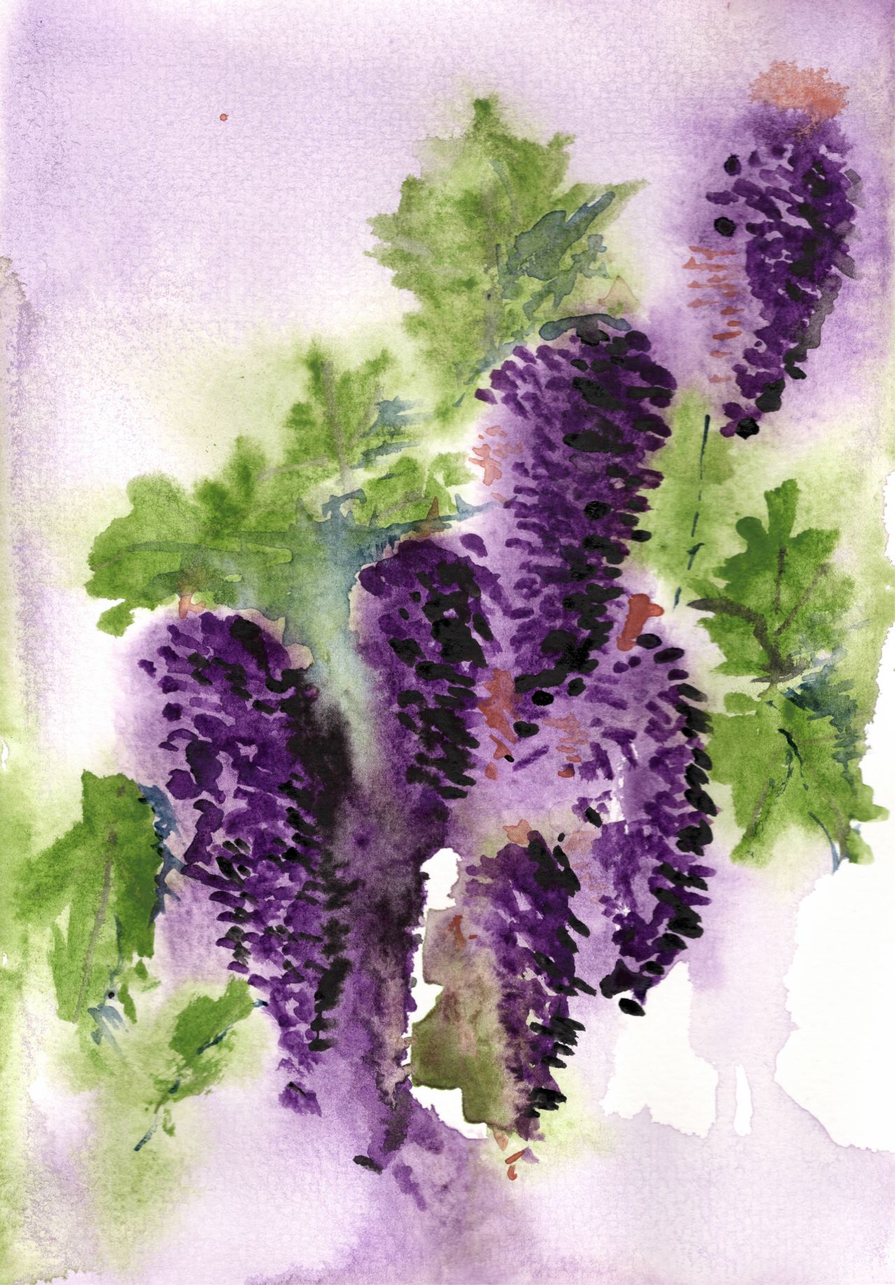 Purple artwork by Craig Galati